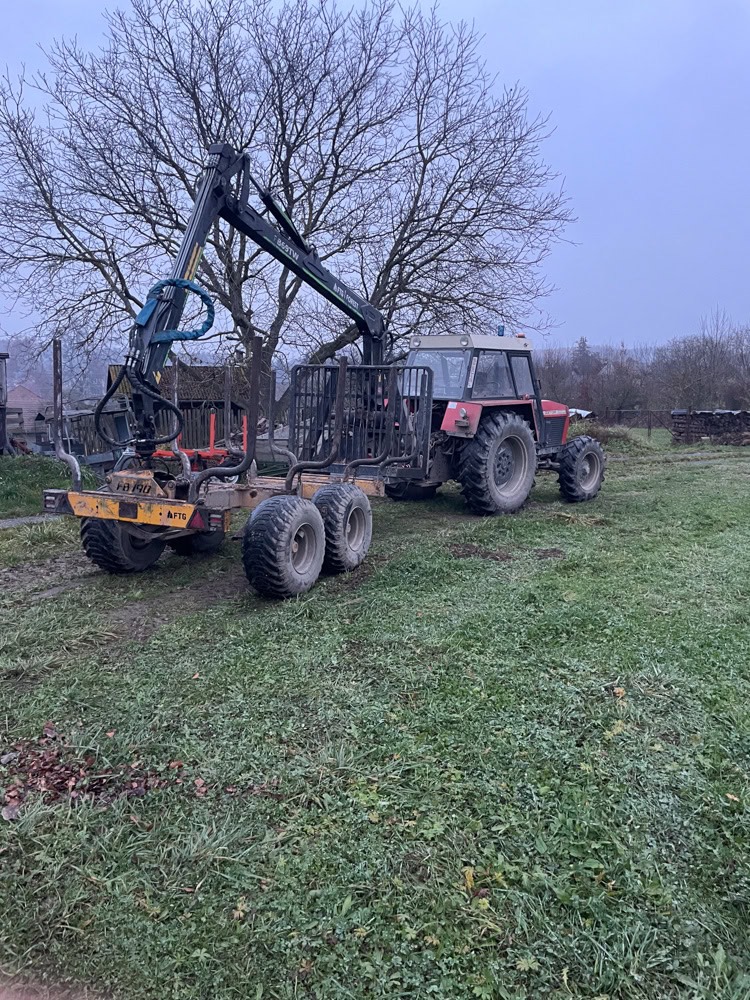 rizikove kaceni stromu brno a okoli martin visnovsky