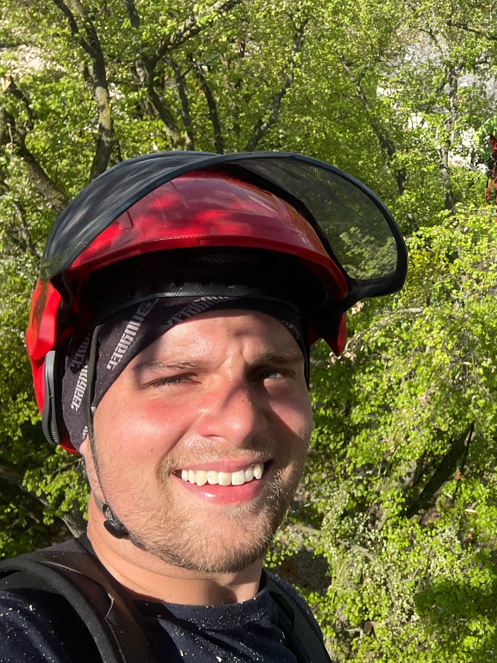 kvantová terapie QuanTom