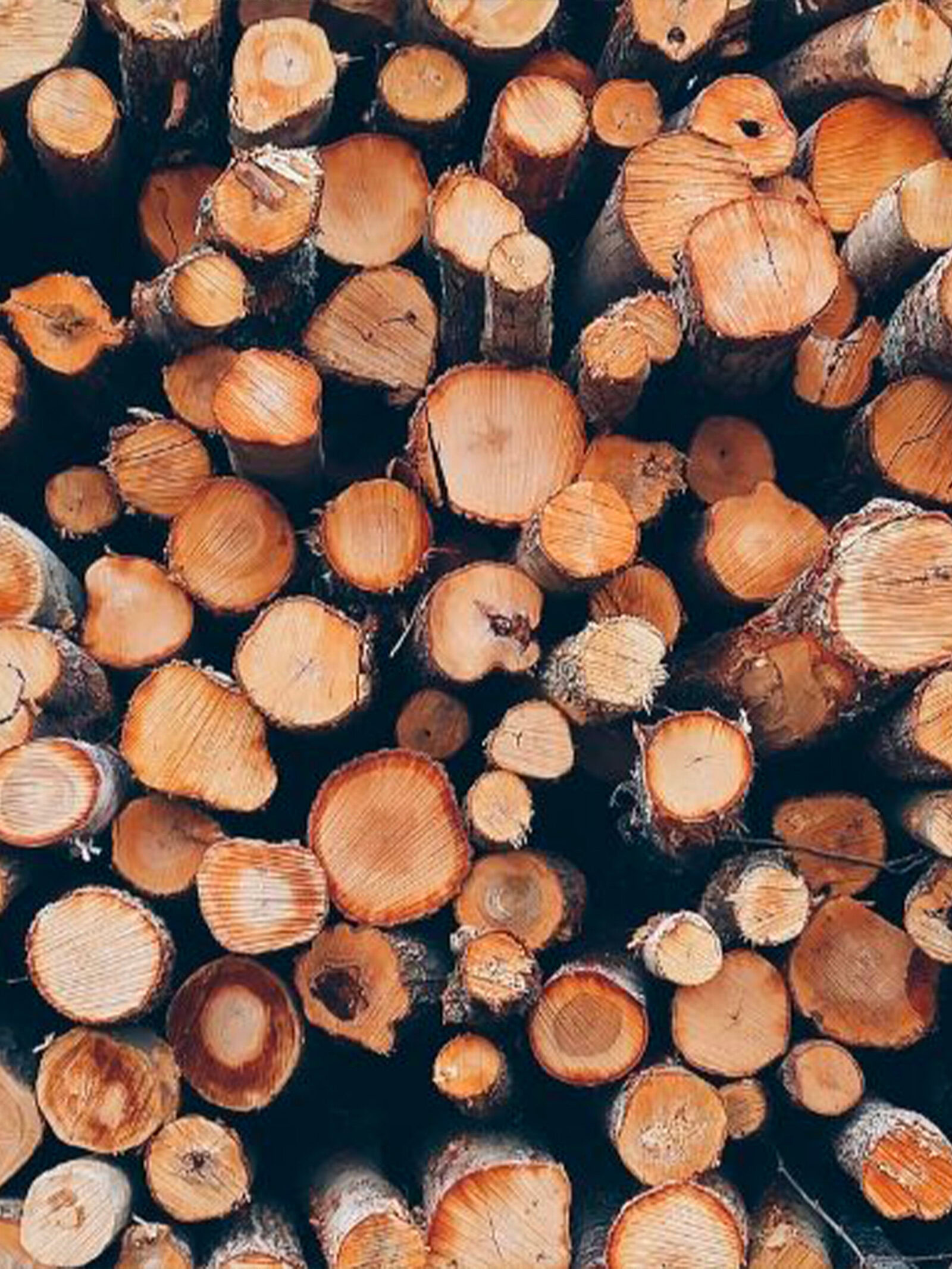 palivove drevo brno visnovsky scaled