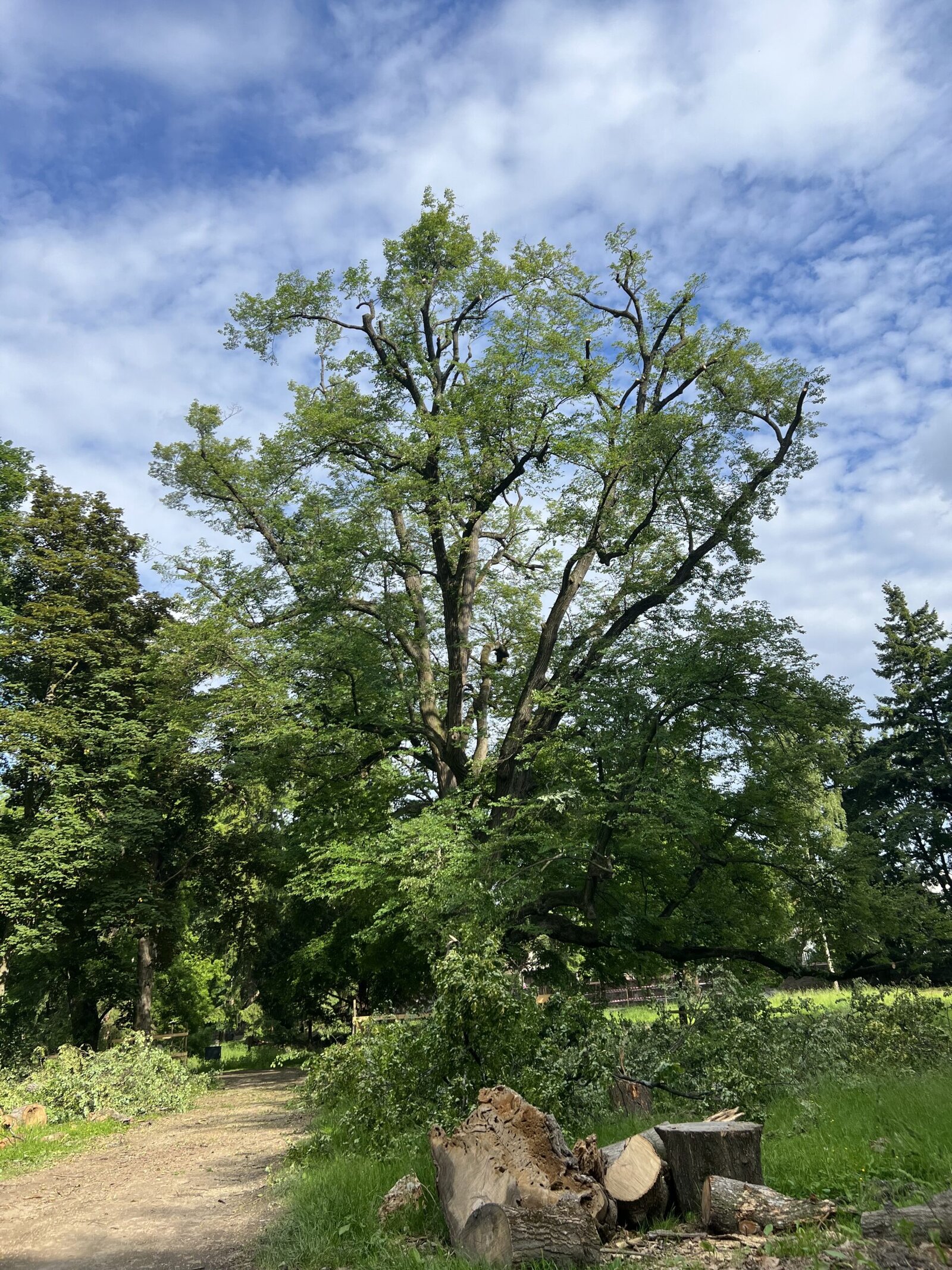 stabilizacni rezy visnovsky scaled