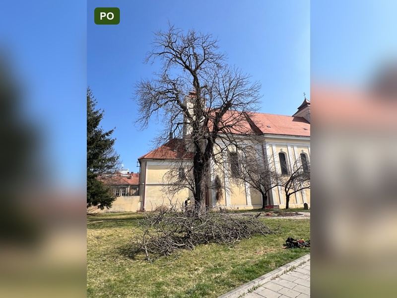 rizikove-kaceni-brno