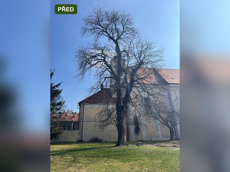 rizikove-kaceni-brno